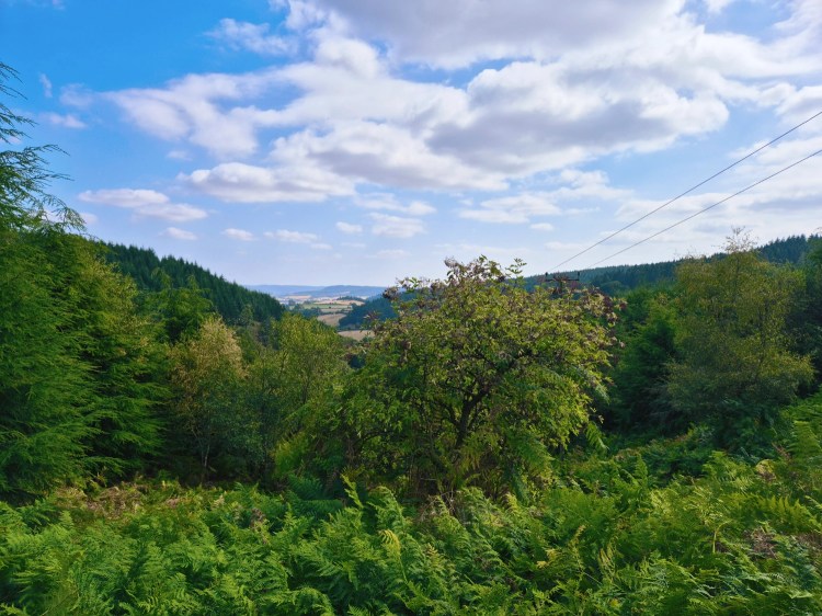 Scenic viewpoint on the Hopton red route showing fields, trees, and blue skies.
