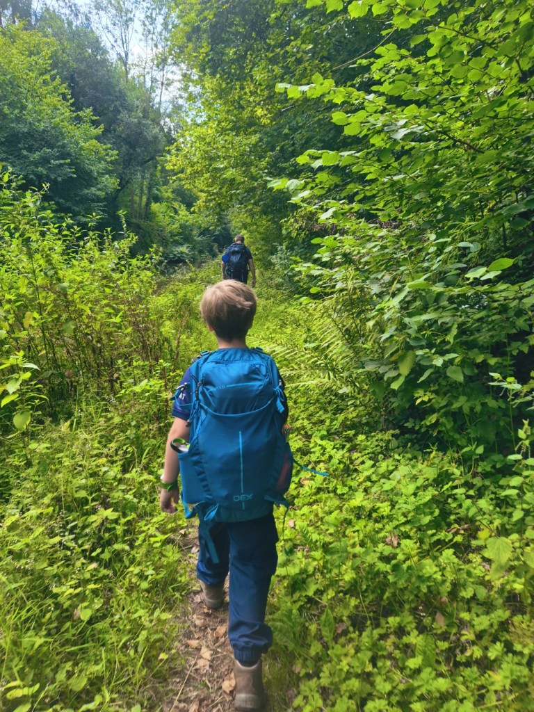 Boy with a blue backpack walking through dense green undergrowth